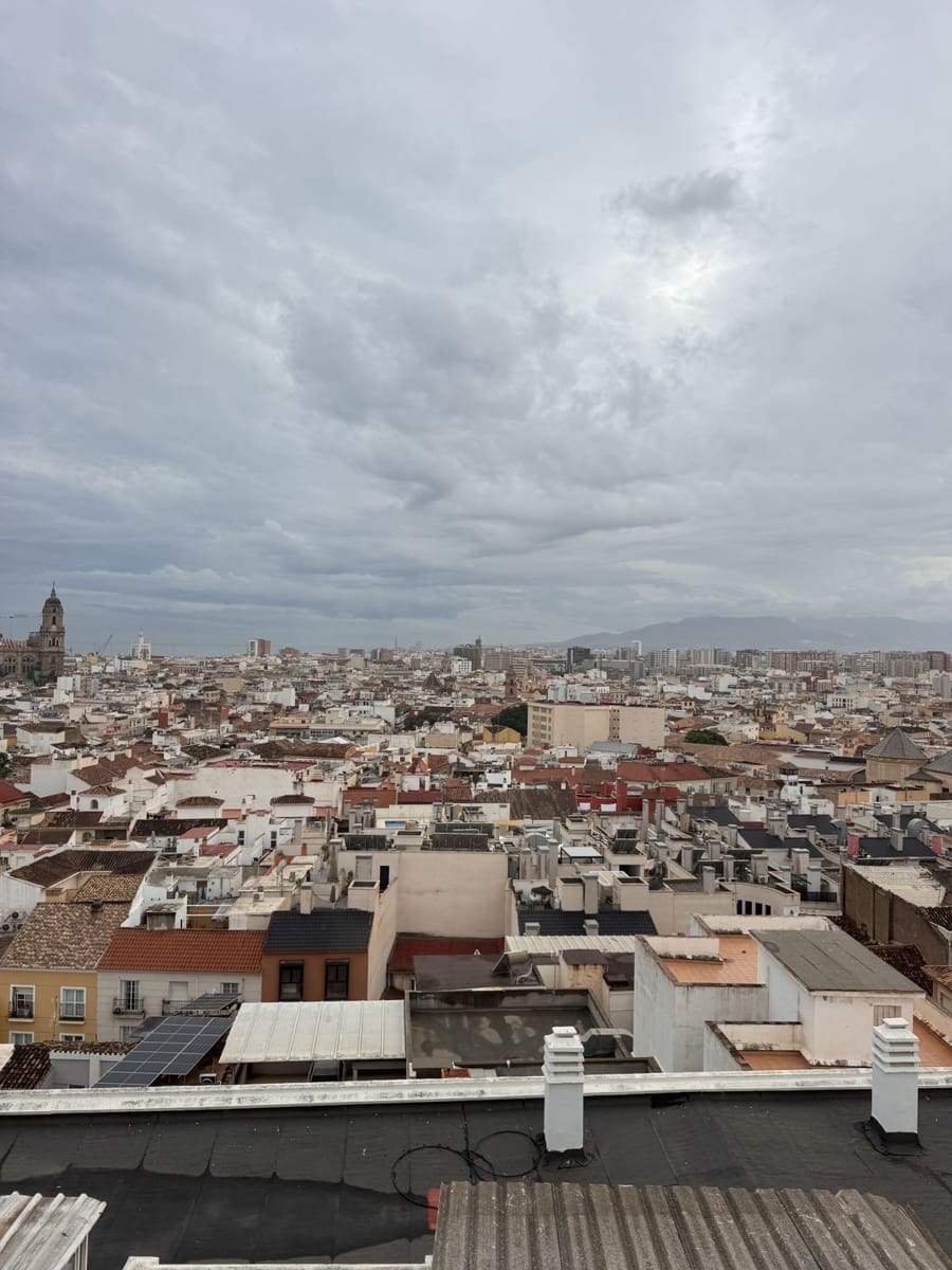1 sovrum Lägenhet till salu i Malaga stad - 309 000 € (Ref: 10113561)