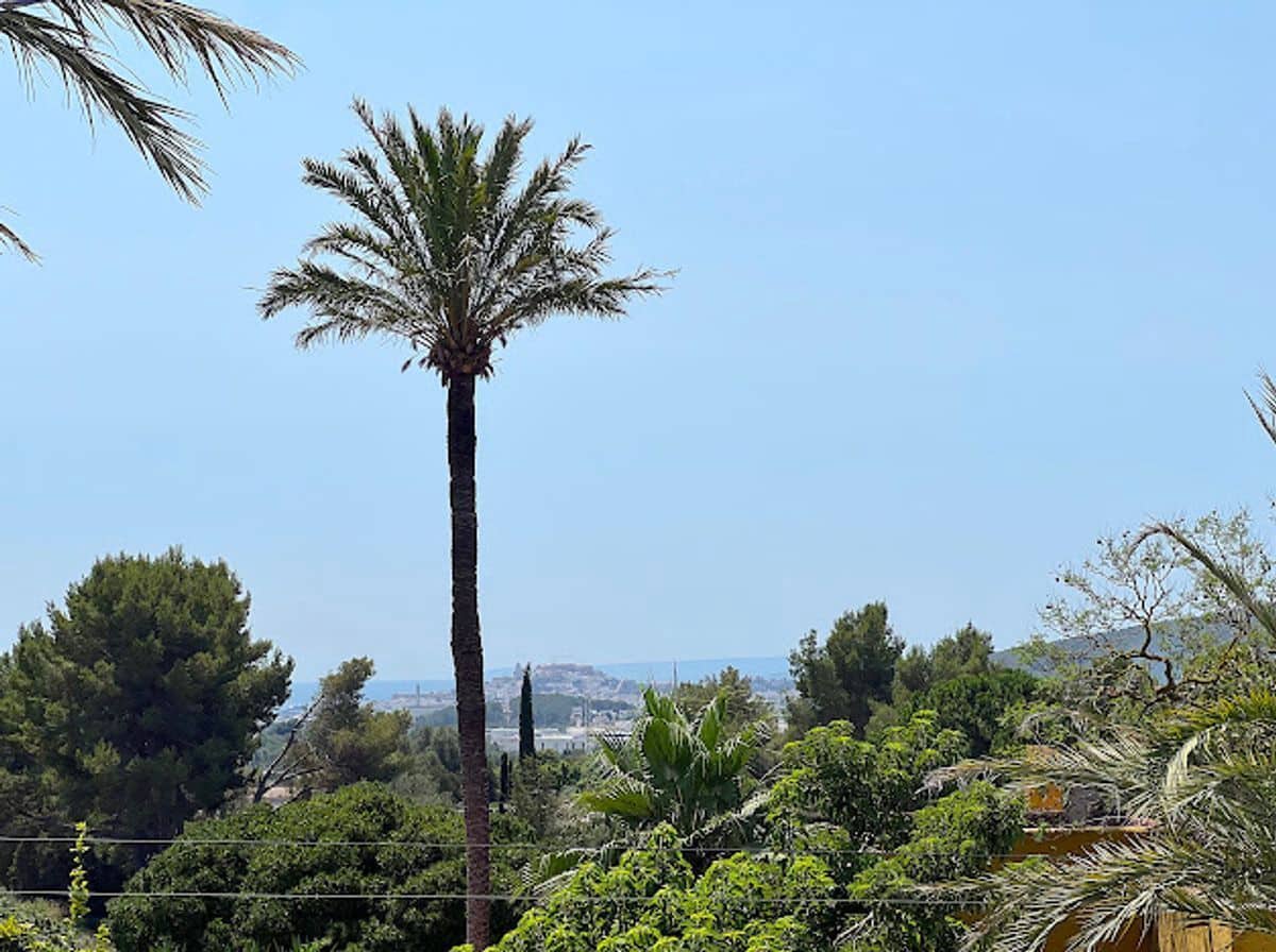 8 bedroom Villa for sale in Sant Antoni de Portmany with pool garage - € 2,950,000 (Ref: 10127664)