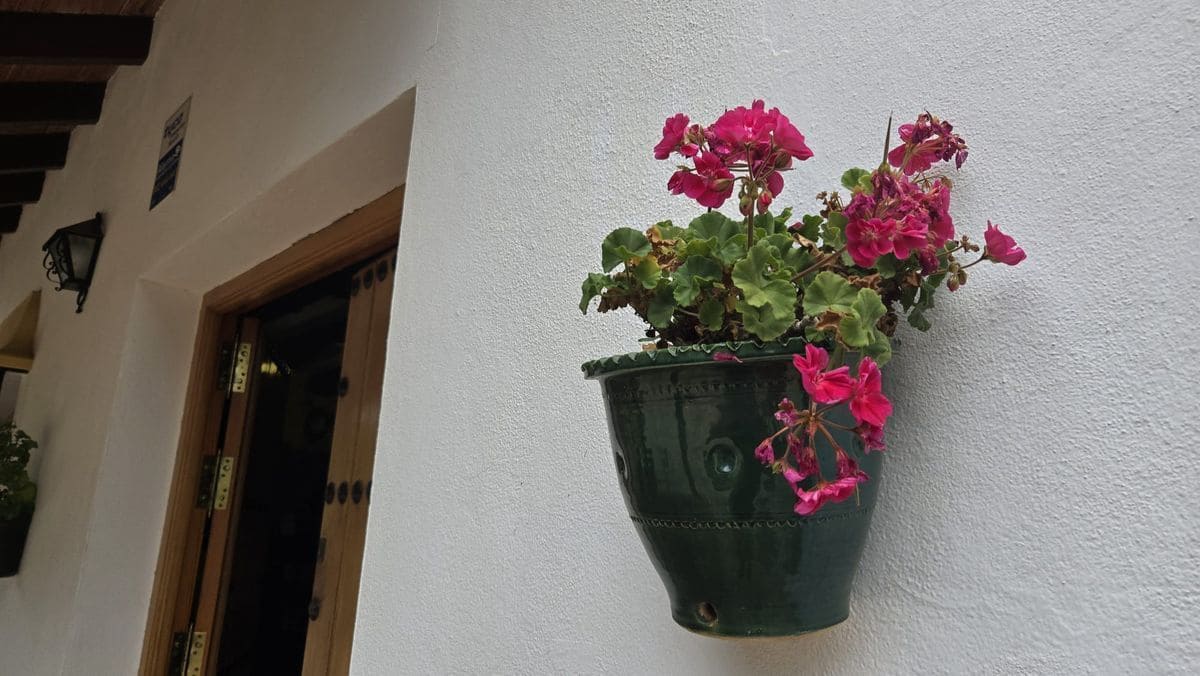 3 chambre Finca/Maison de Campagne à vendre à Antequera avec piscine garage - 590 000 € (Ref: 10154581)