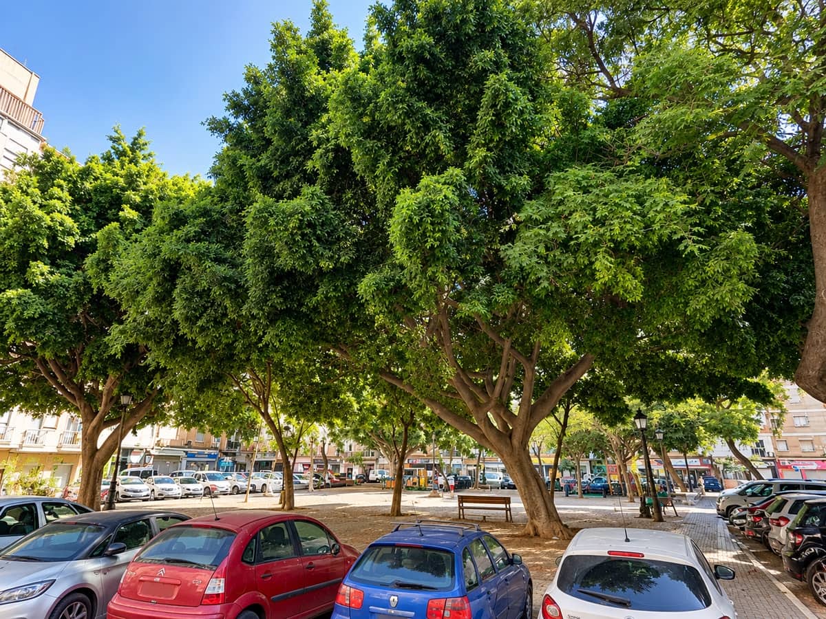 3 sypialnia Mieszkanie na sprzedaż w Miasto Malaga - 269 000 € (Ref: 10176345)