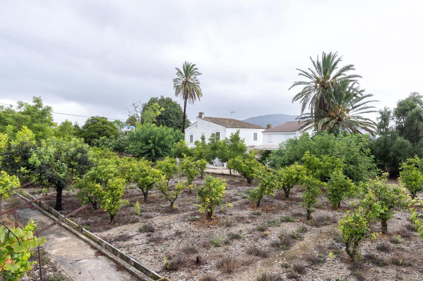 8 bedroom Villa for sale in Pego with garage - € 435,000 (Ref: 9175364)