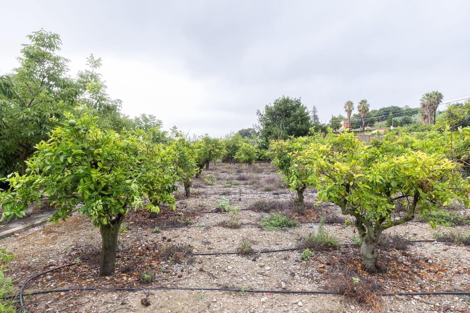 8 bedroom Villa for sale in Pego with garage - € 435,000 (Ref: 9175364)