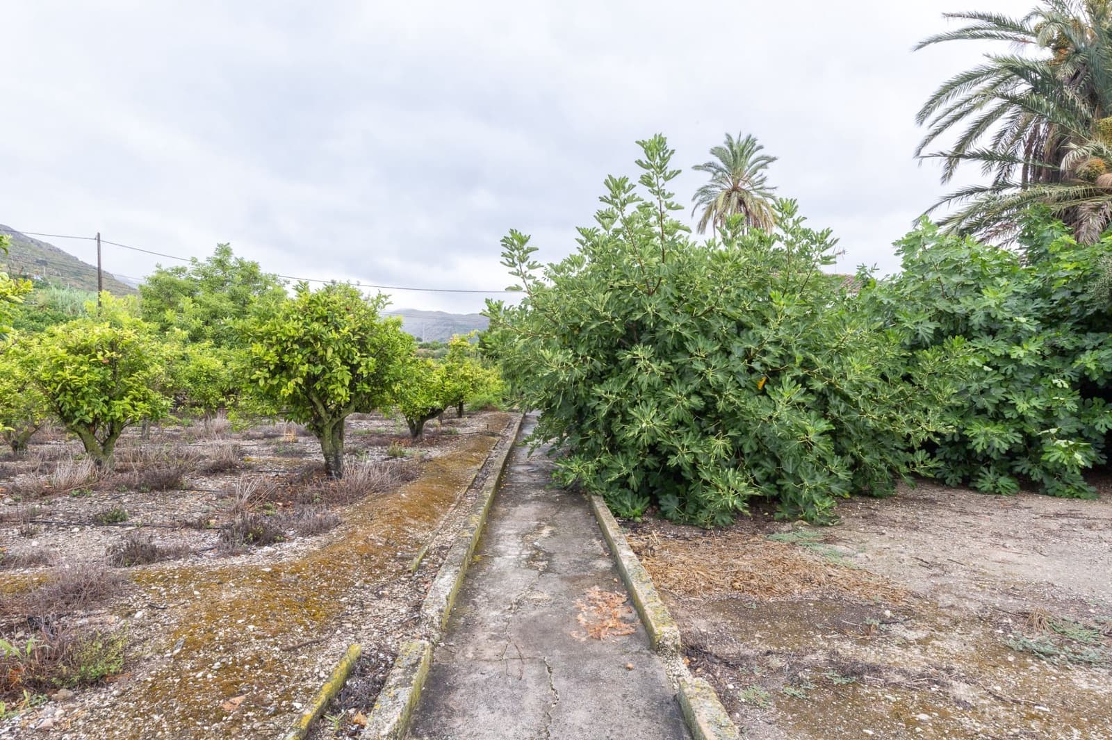 8 bedroom Villa for sale in Pego with garage - € 435,000 (Ref: 9175364)