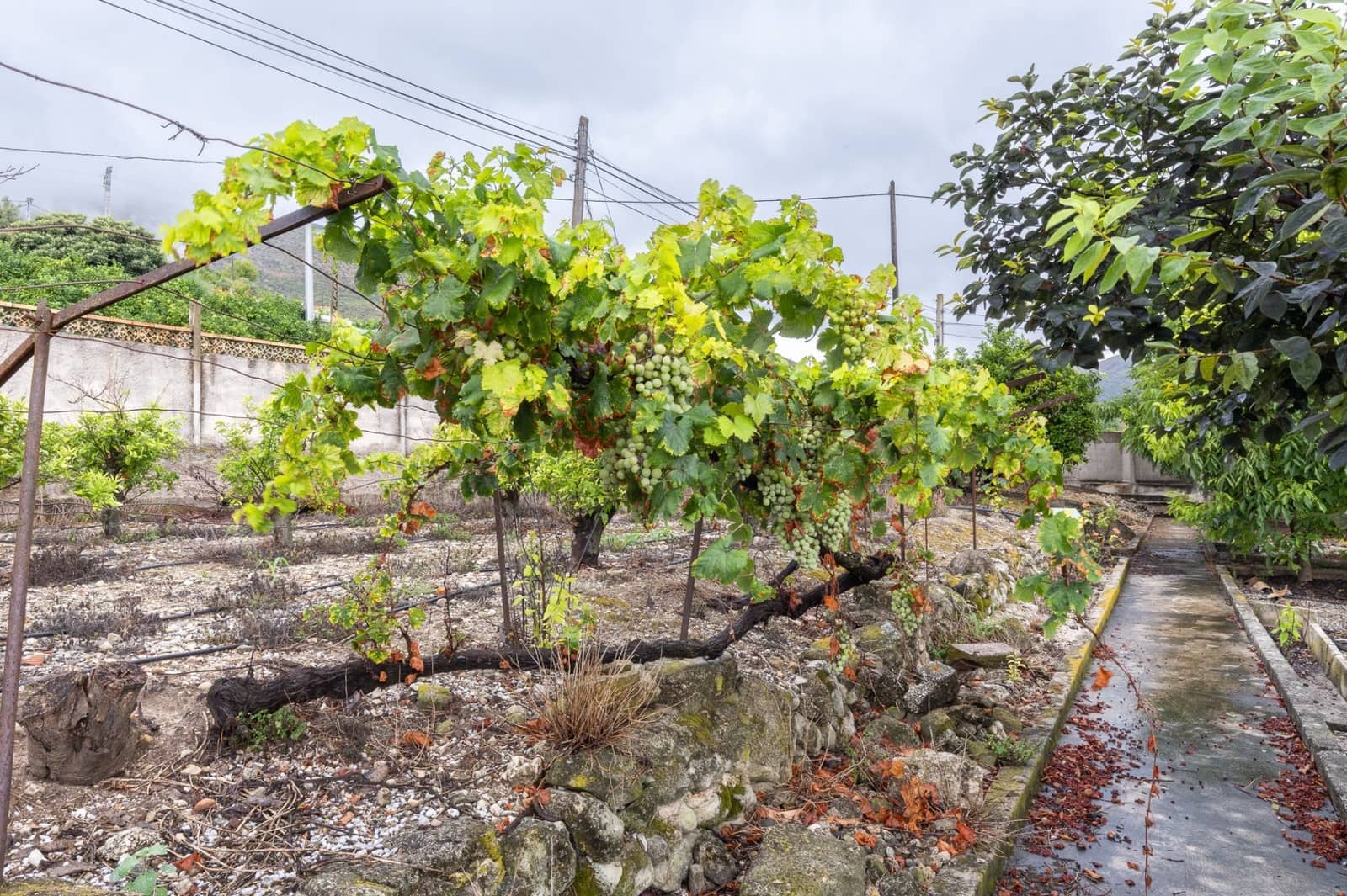 8 bedroom Villa for sale in Pego with garage - € 435,000 (Ref: 9175364)