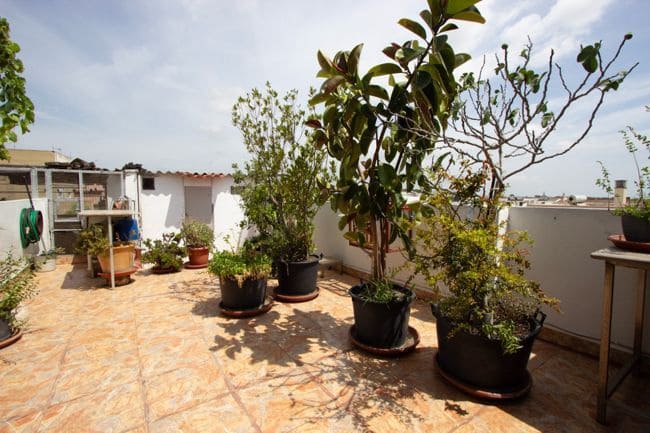6 soverom Villa til salgs i Moncada - € 390 000 (Ref: 9242695)