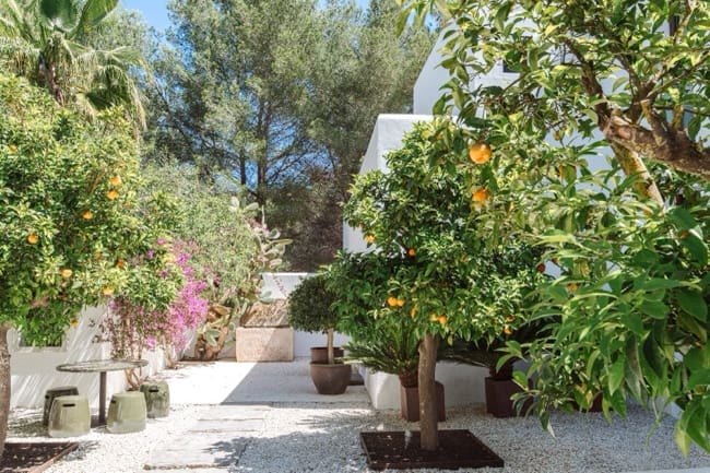 6 soveværelse Villa til salg i Sant Joan de Labritja med swimmingpool - € 5.750.000 (Ref: 9312143)