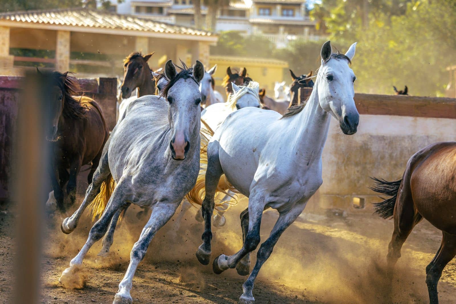 Chalet de 9 habitaciones en Sant Antoni de Portmany en venta con piscina garaje - 35.000.000 € (Ref: 9330149)