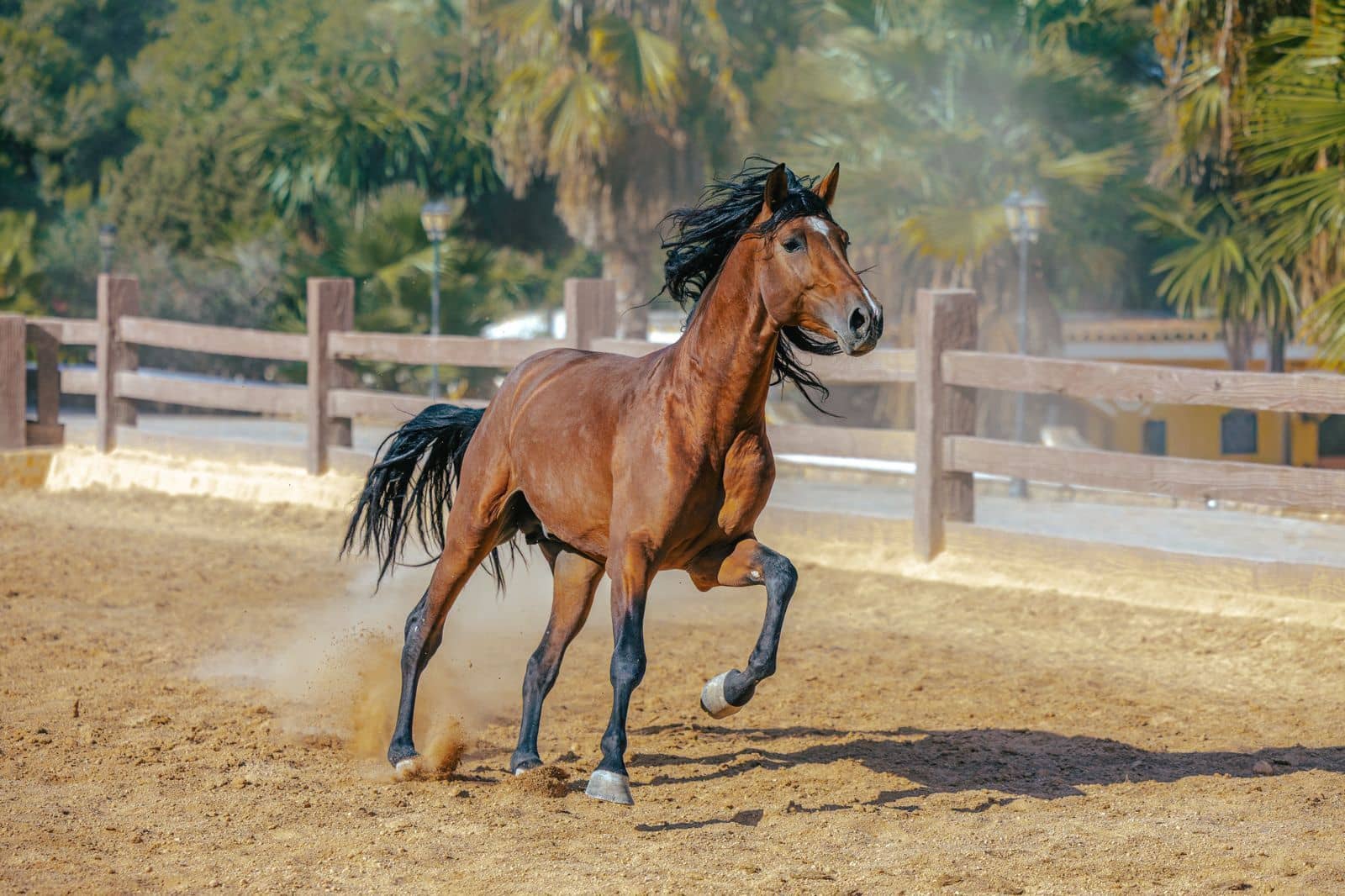 Chalet de 9 habitaciones en Sant Antoni de Portmany en venta con piscina garaje - 35.000.000 € (Ref: 9330149)