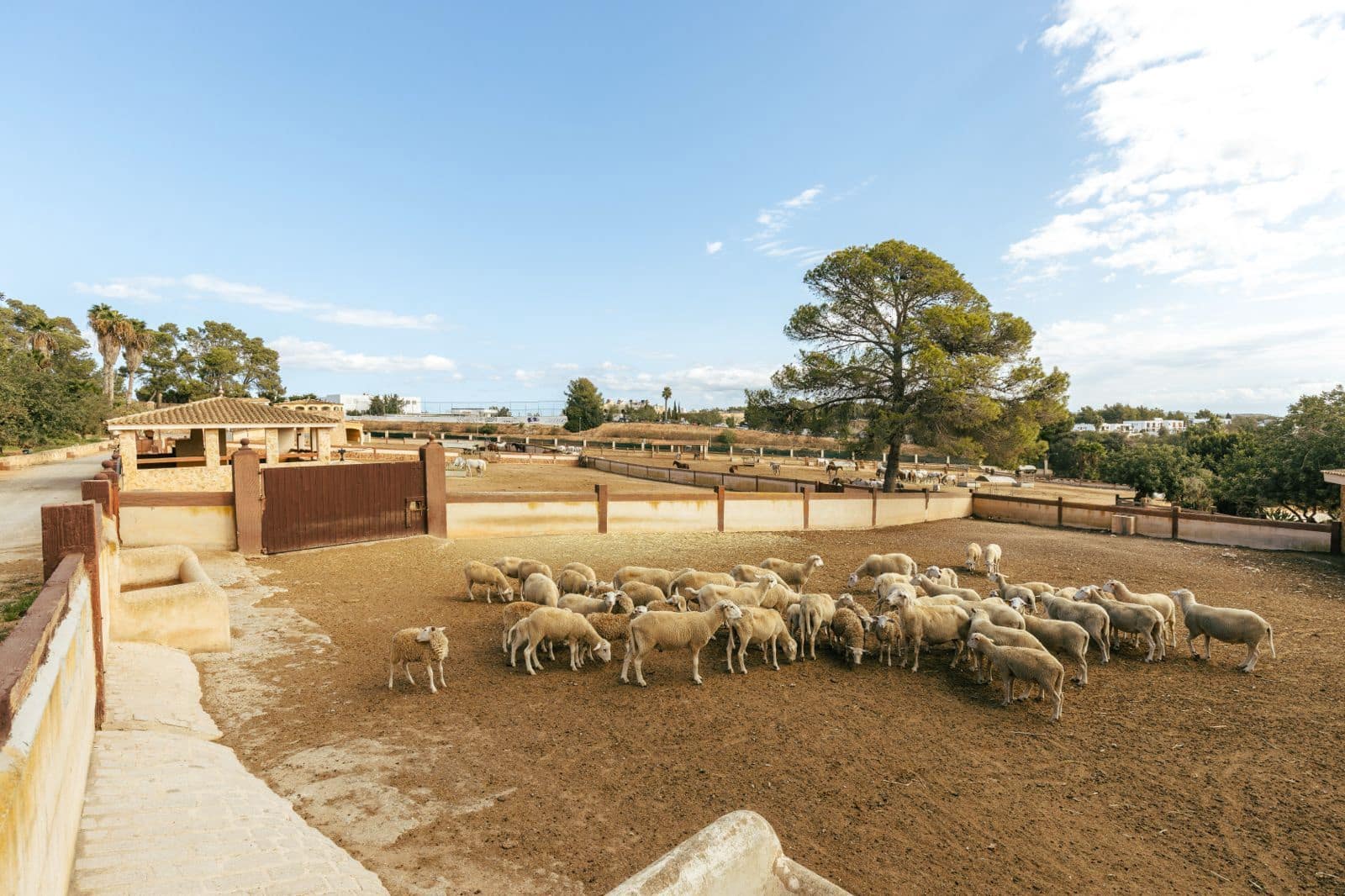 Chalet de 9 habitaciones en Sant Antoni de Portmany en venta con piscina garaje - 35.000.000 € (Ref: 9330149)