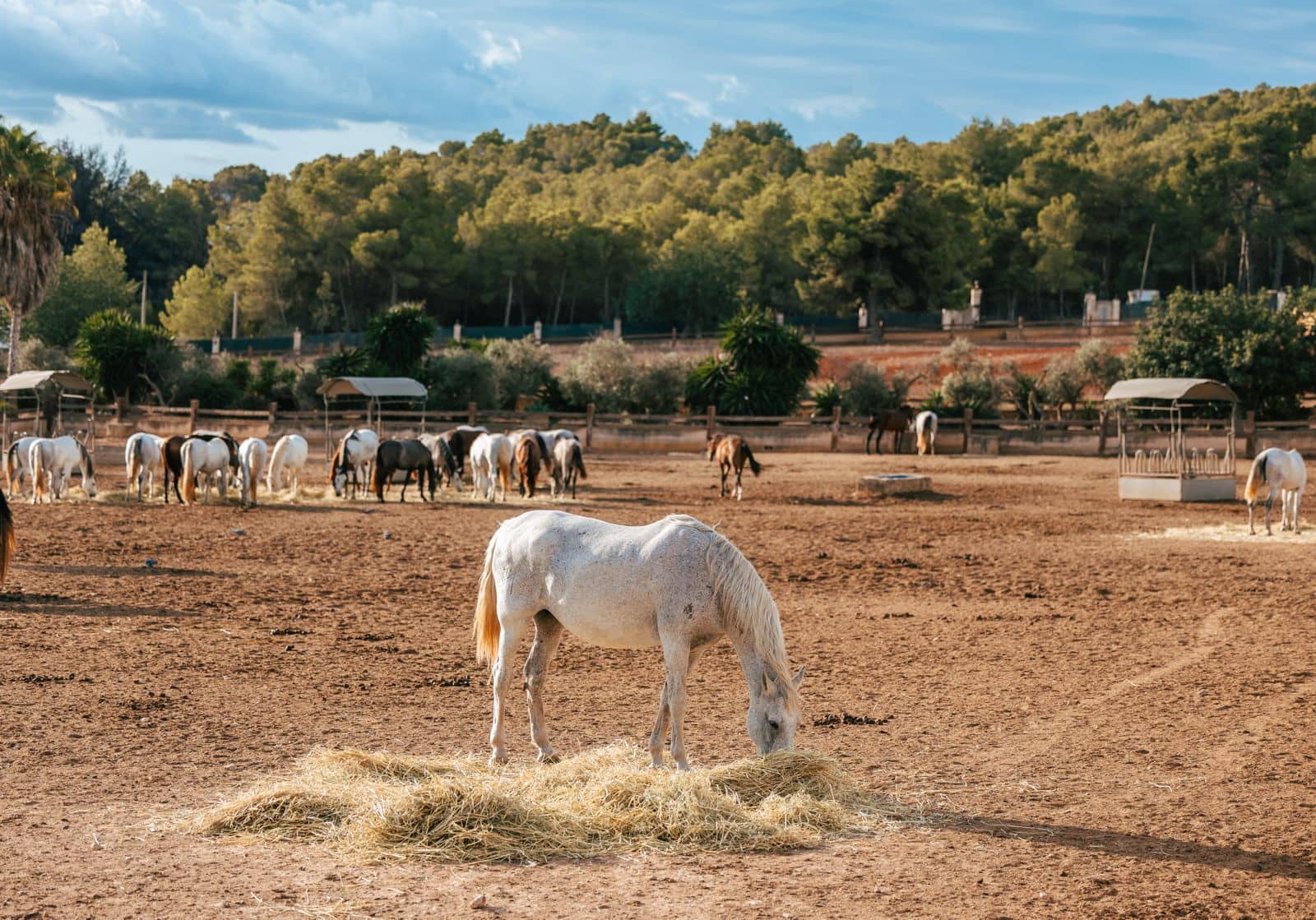 Chalet de 9 habitaciones en Sant Antoni de Portmany en venta con piscina garaje - 35.000.000 € (Ref: 9330149)