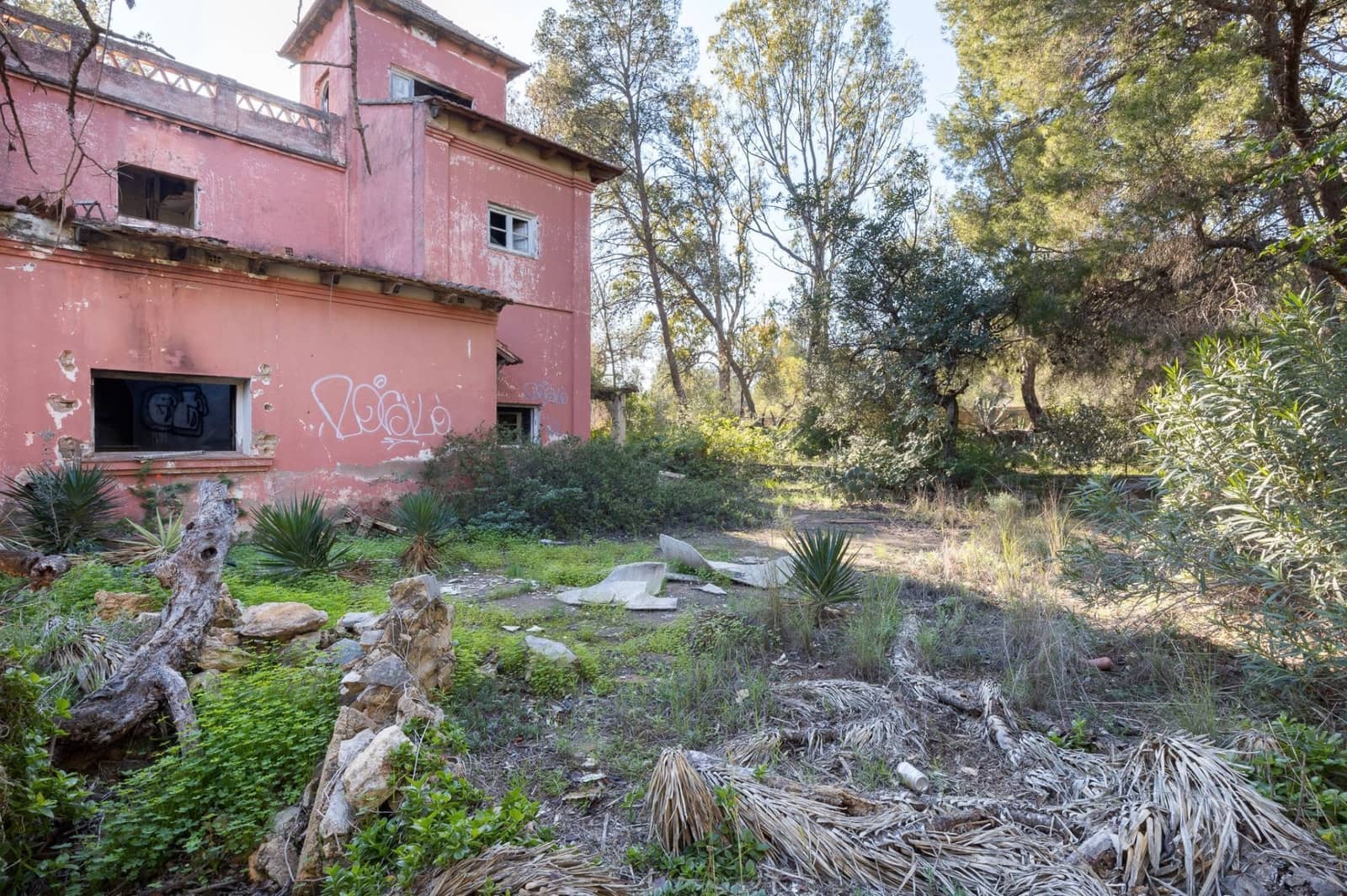 Terre non Aménagée à vendre à Campolivar - 699 999 € (Ref: 9385117)