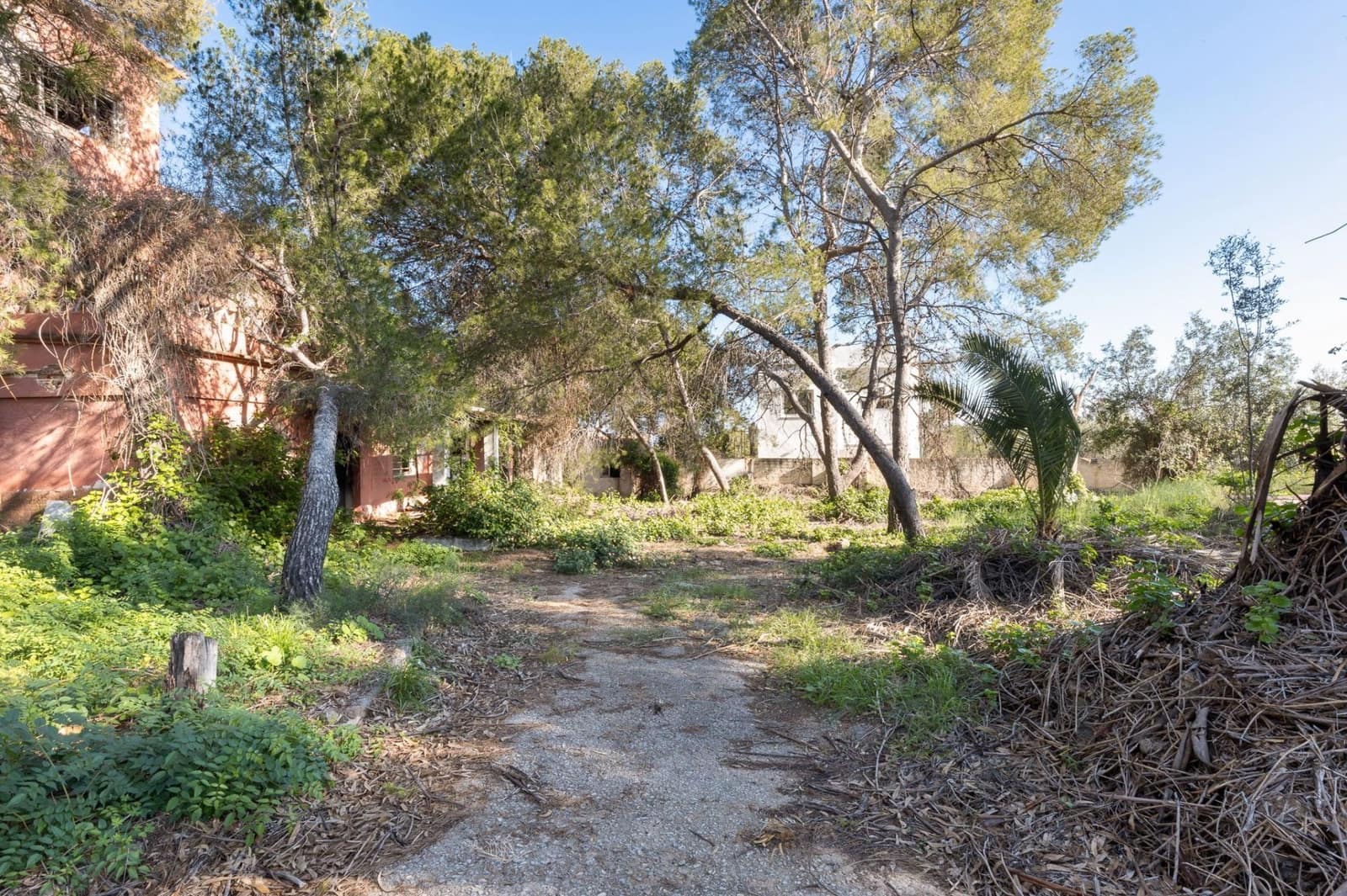 Terre non Aménagée à vendre à Campolivar - 699 999 € (Ref: 9385117)