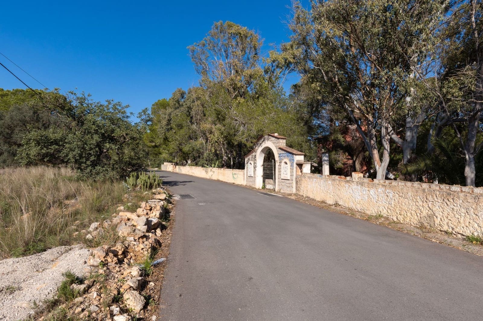 Terre non Aménagée à vendre à Campolivar - 699 999 € (Ref: 9385117)