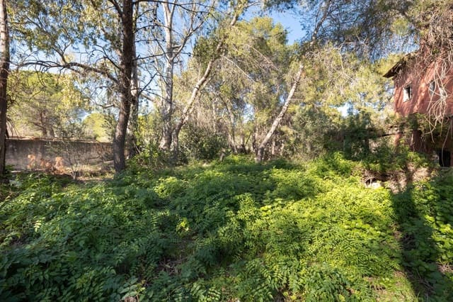 Mark till salu i Campolivar, Godella - 699 999 € (Ref: 9385117)