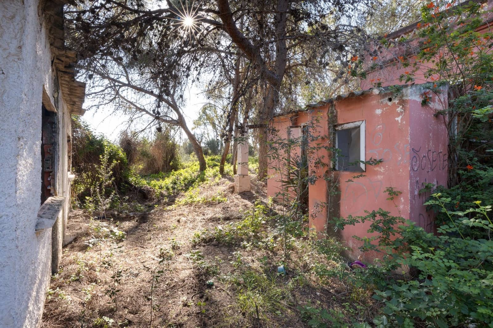 Terre non Aménagée à vendre à Campolivar - 699 999 € (Ref: 9385117)