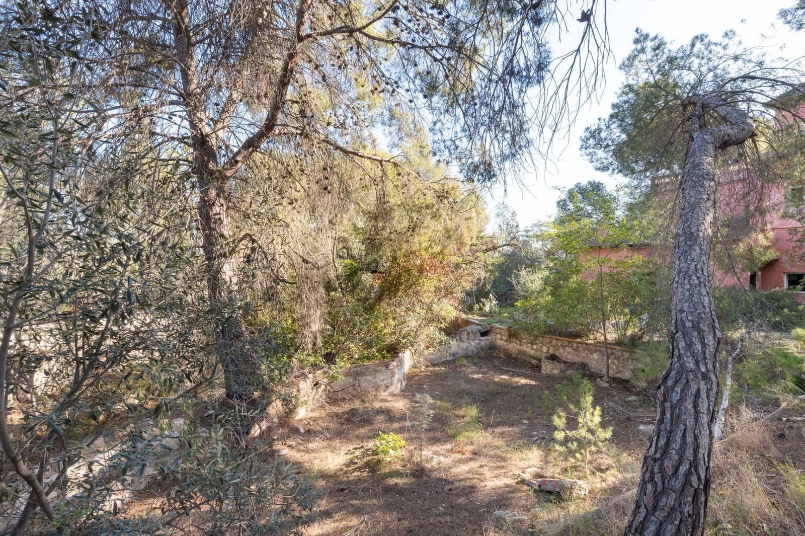 Terre non Aménagée à vendre à Campolivar - 699 999 € (Ref: 9385117)