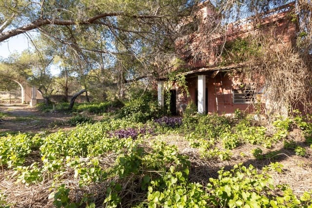 Mark till salu i Campolivar, Godella - 699 999 € (Ref: 9385117)