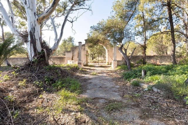 Mark till salu i Campolivar, Godella - 699 999 € (Ref: 9385117)