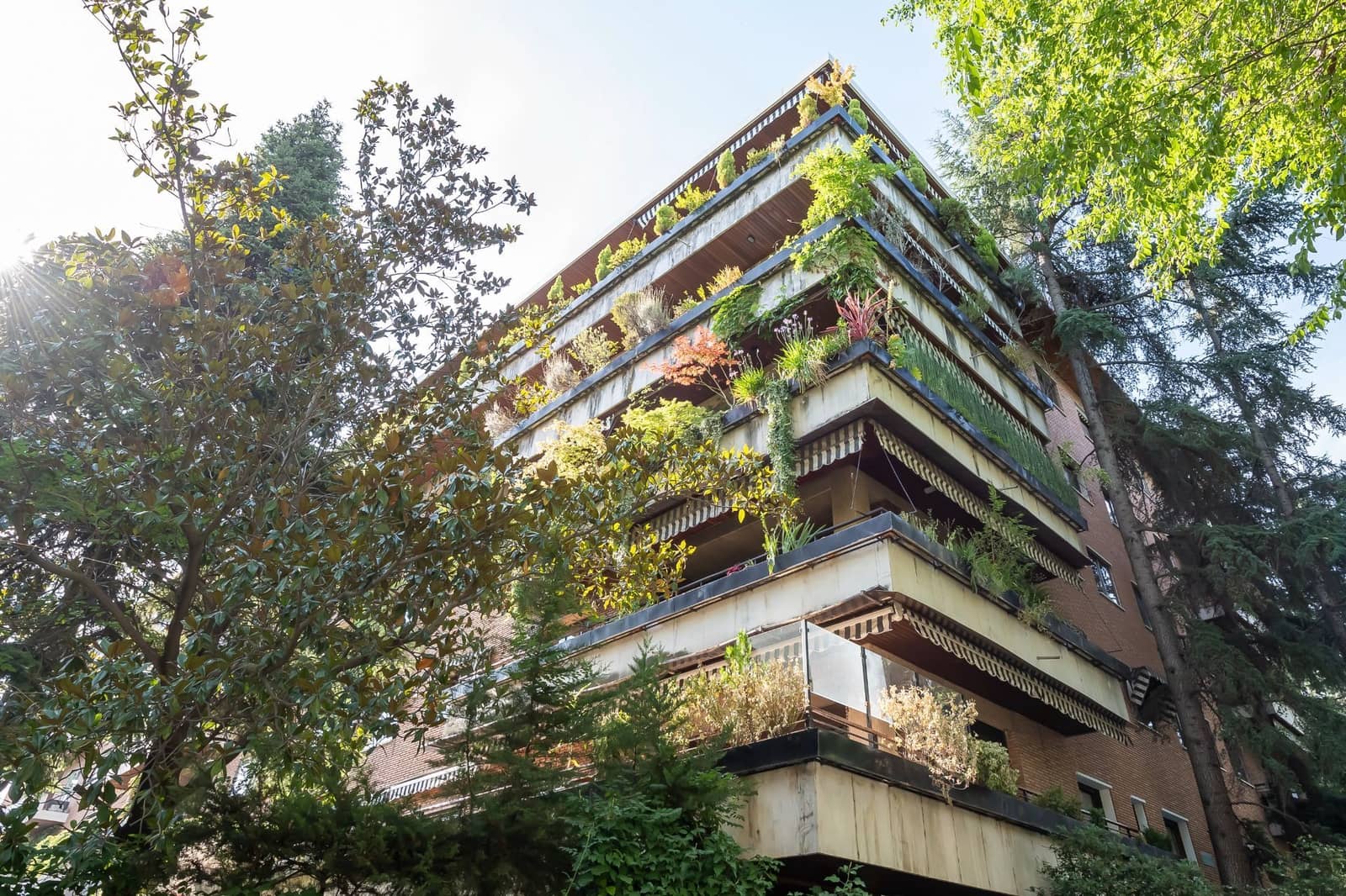 1 sypialnia Mieszkanie do wynajęcia w Miasto Madryt z basenem garażem - 1 700 € (Ref: 9393251)