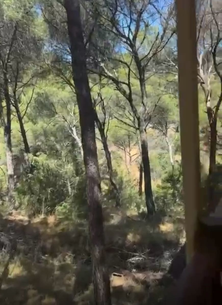 Undeveloped Land for sale in San Martin de Valdeiglesias - € 98,000 (Ref: 9430800)