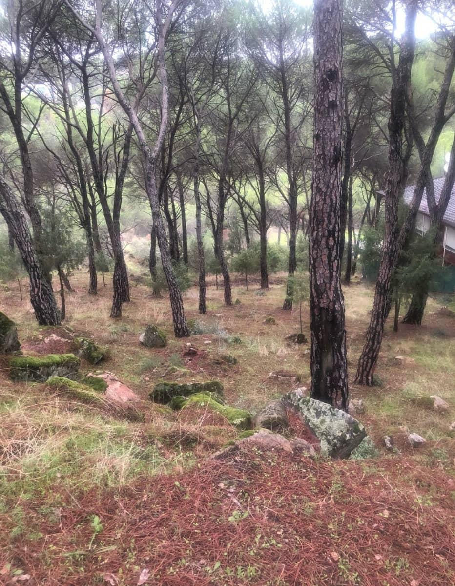 Undeveloped Land for sale in San Martin de Valdeiglesias - € 98,000 (Ref: 9430800)