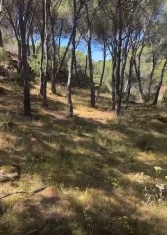 Ubebygd land til salgs i San Martín de Valdeiglesias - € 98 000 (Ref: 9430800)