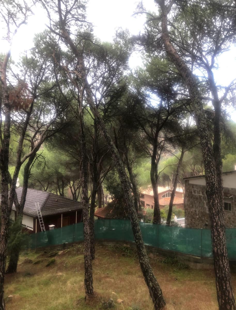 Undeveloped Land for sale in San Martin de Valdeiglesias - € 98,000 (Ref: 9430800)