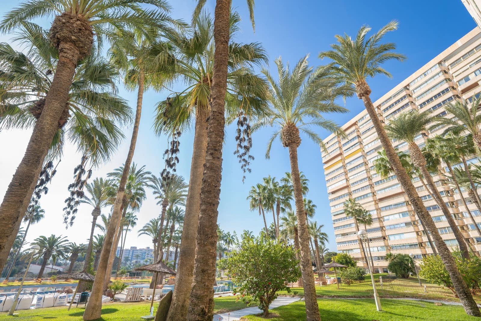 3 Zimmer Apartment zu verkaufen in El Campello mit Pool Garage - 783.000 € (Ref: 9455855)