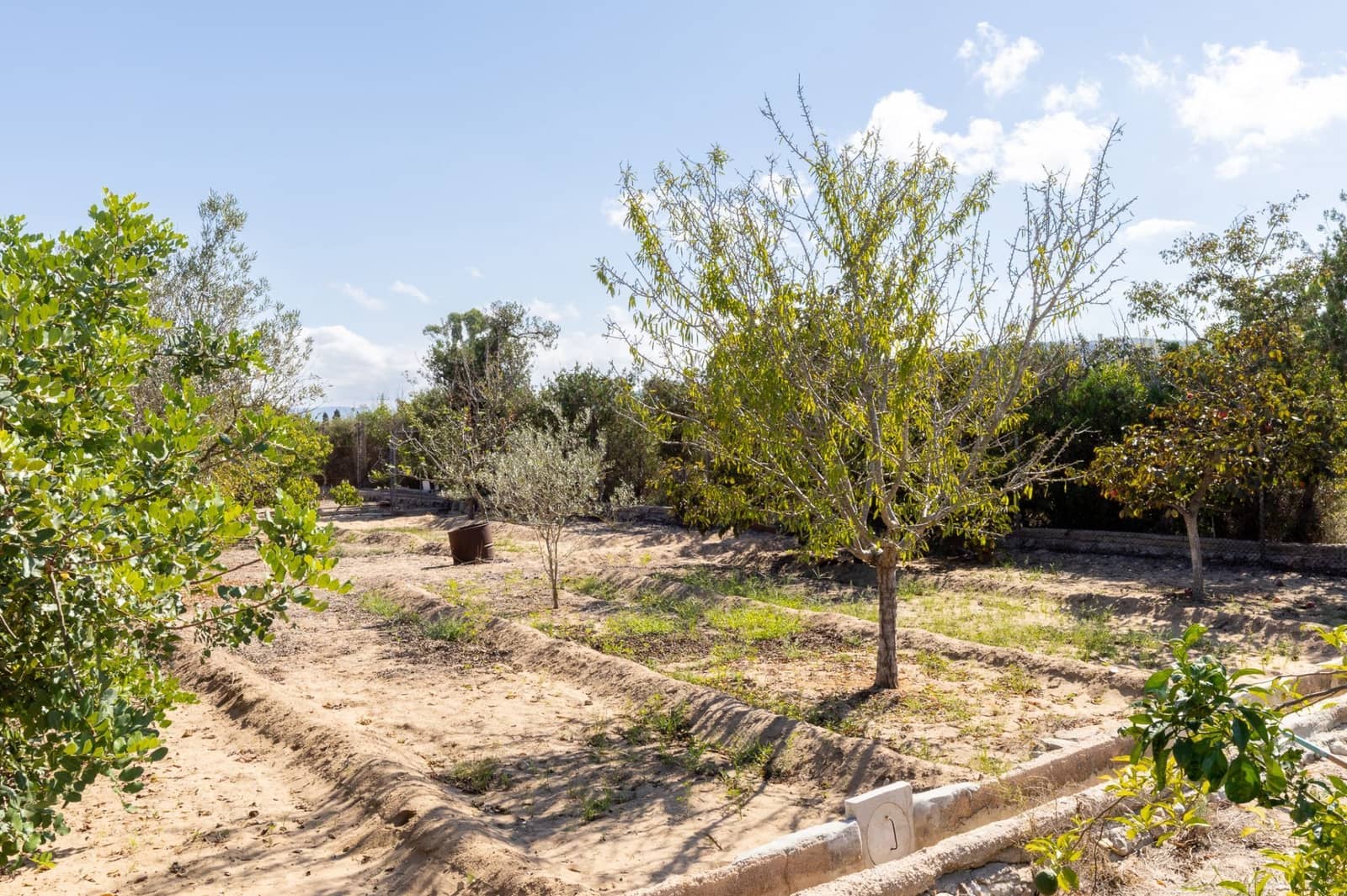 3 makuuhuone Asunto myytävänä paikassa Gandia mukana uima-altaan - 290 000 € (Ref: 9470312)