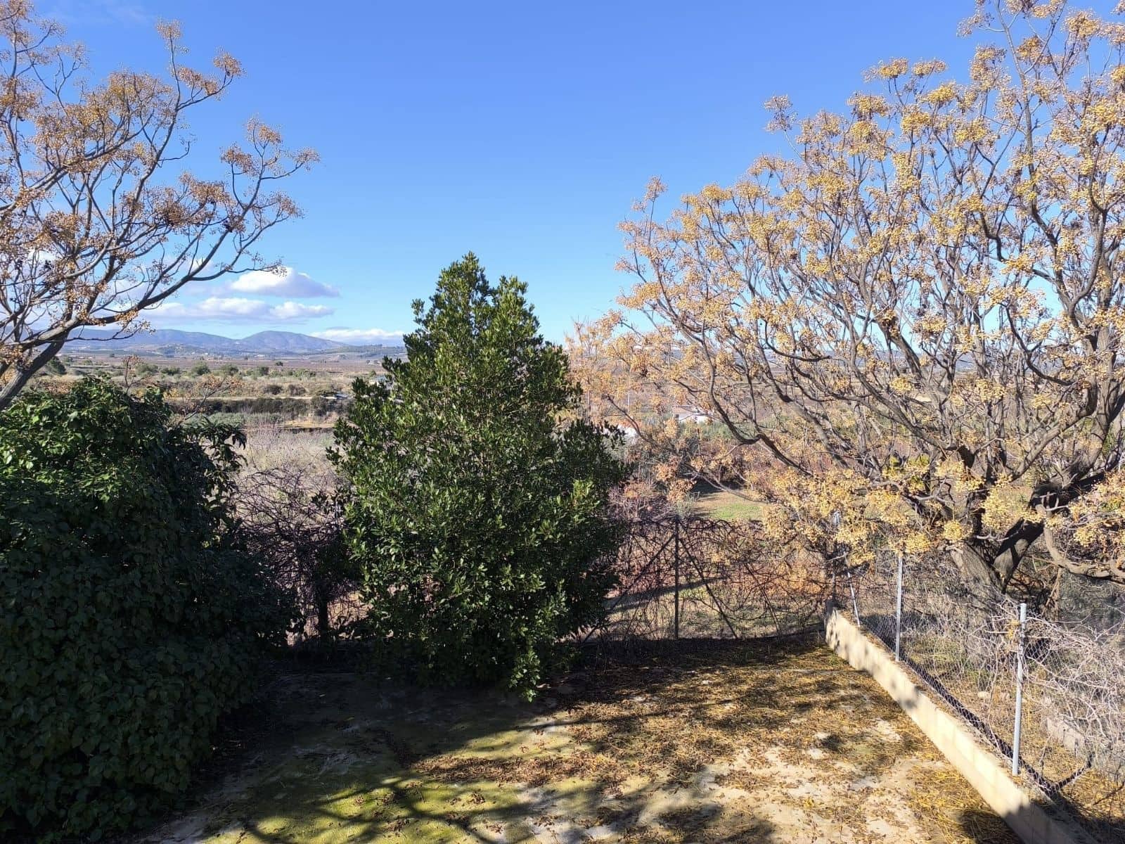 3 bedroom Finca/Country House for sale in Pliego - € 205,500 (Ref: 9501848)