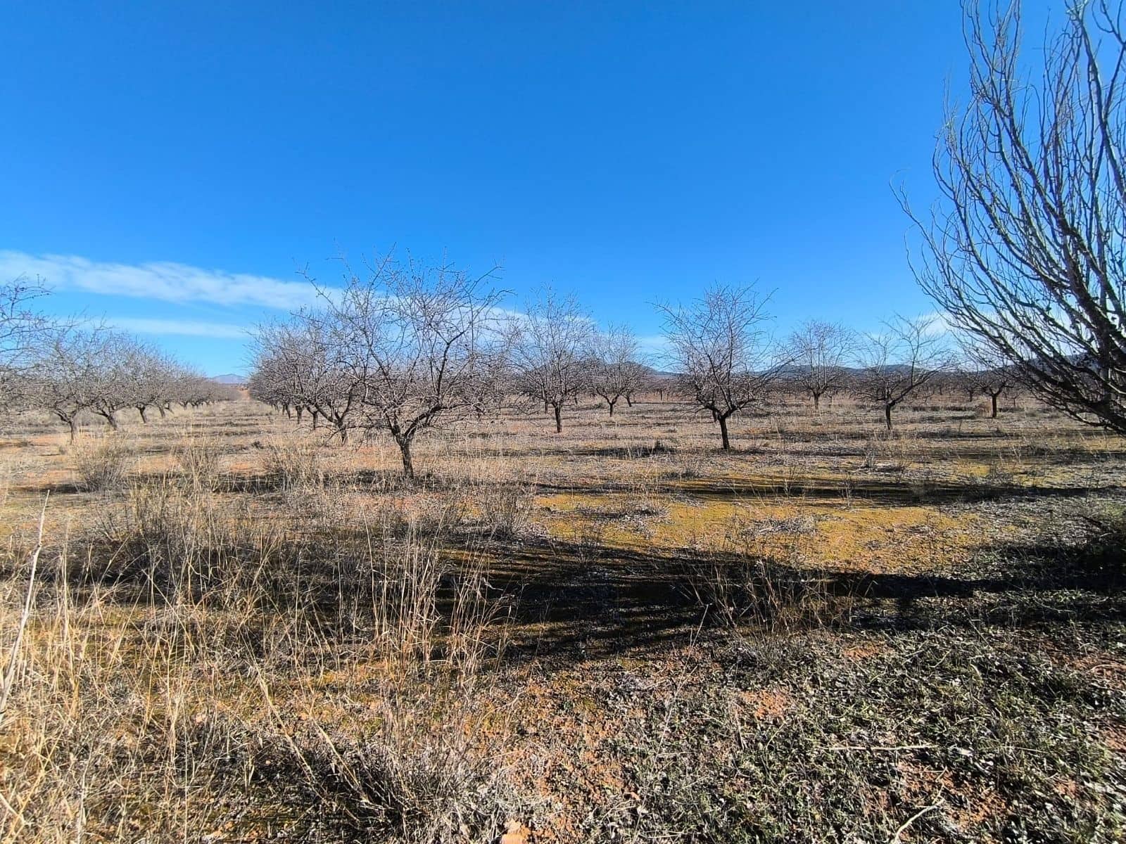 3 bedroom Villa for sale in Mula - € 315,000 (Ref: 9501849)