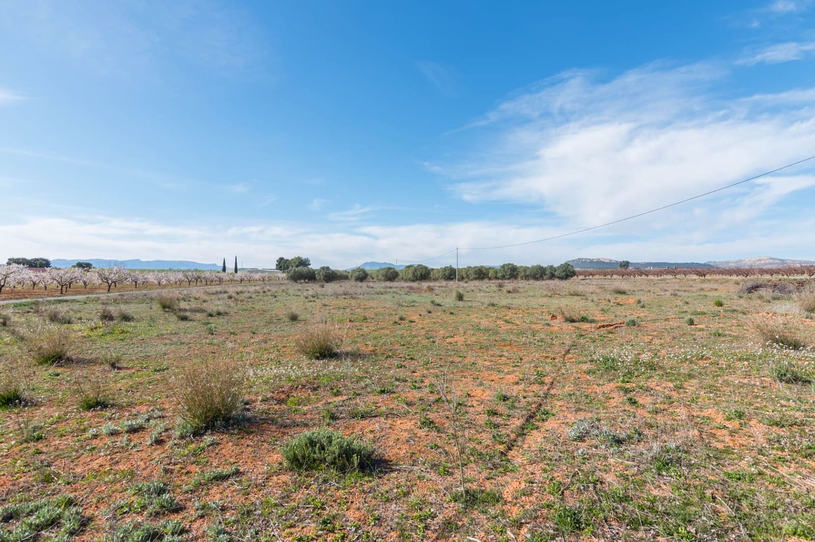 Chalet de 3 habitaciones en Pliego en venta - 315.000 € (Ref: 9501849)