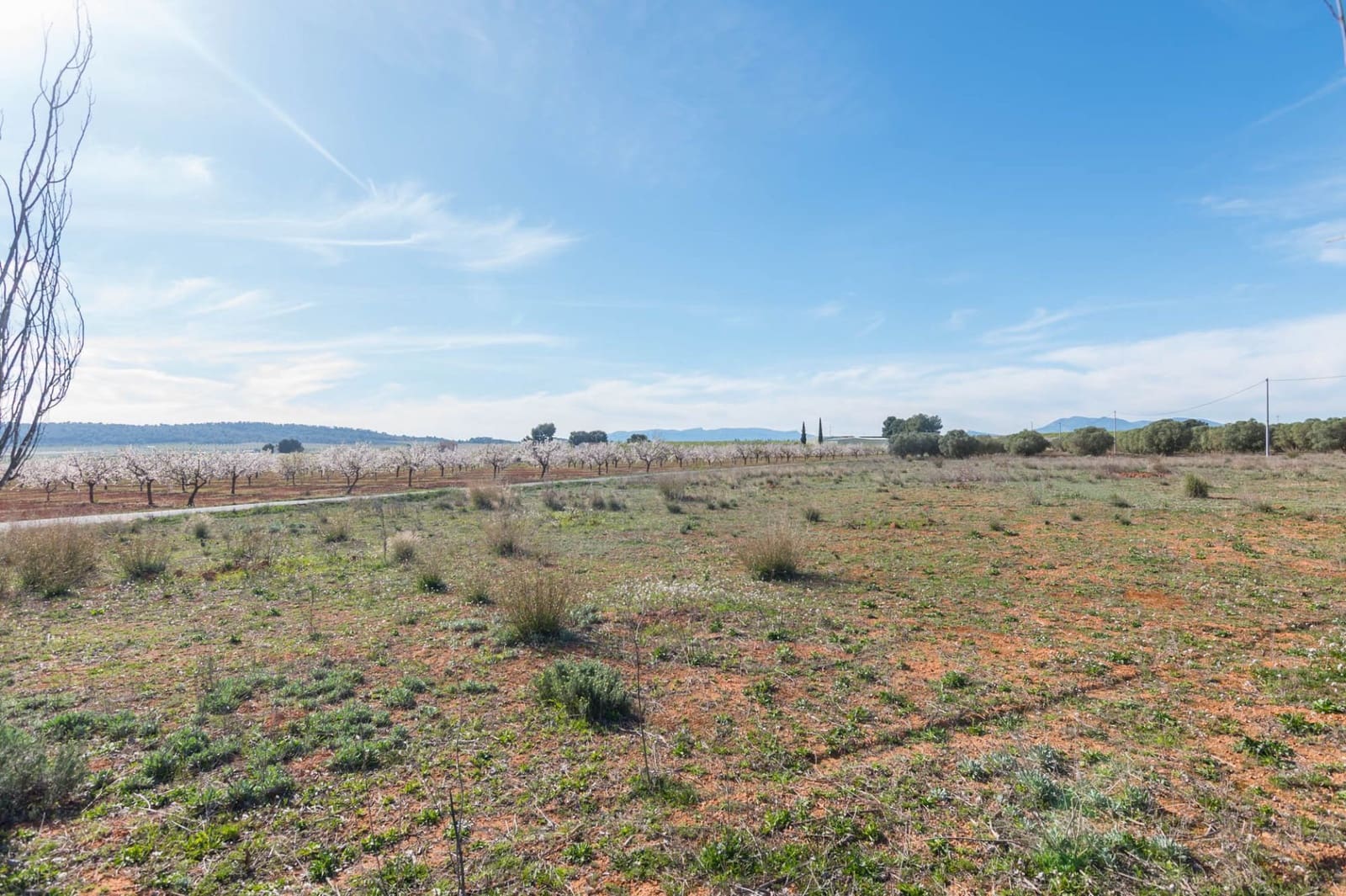 Chalet de 3 habitaciones en Pliego en venta - 315.000 € (Ref: 9501849)