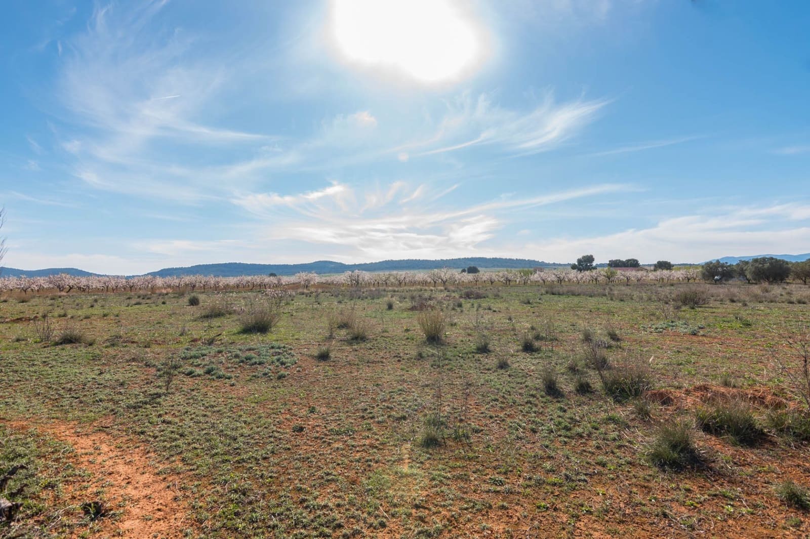 Chalet de 3 habitaciones en Pliego en venta - 315.000 € (Ref: 9501849)