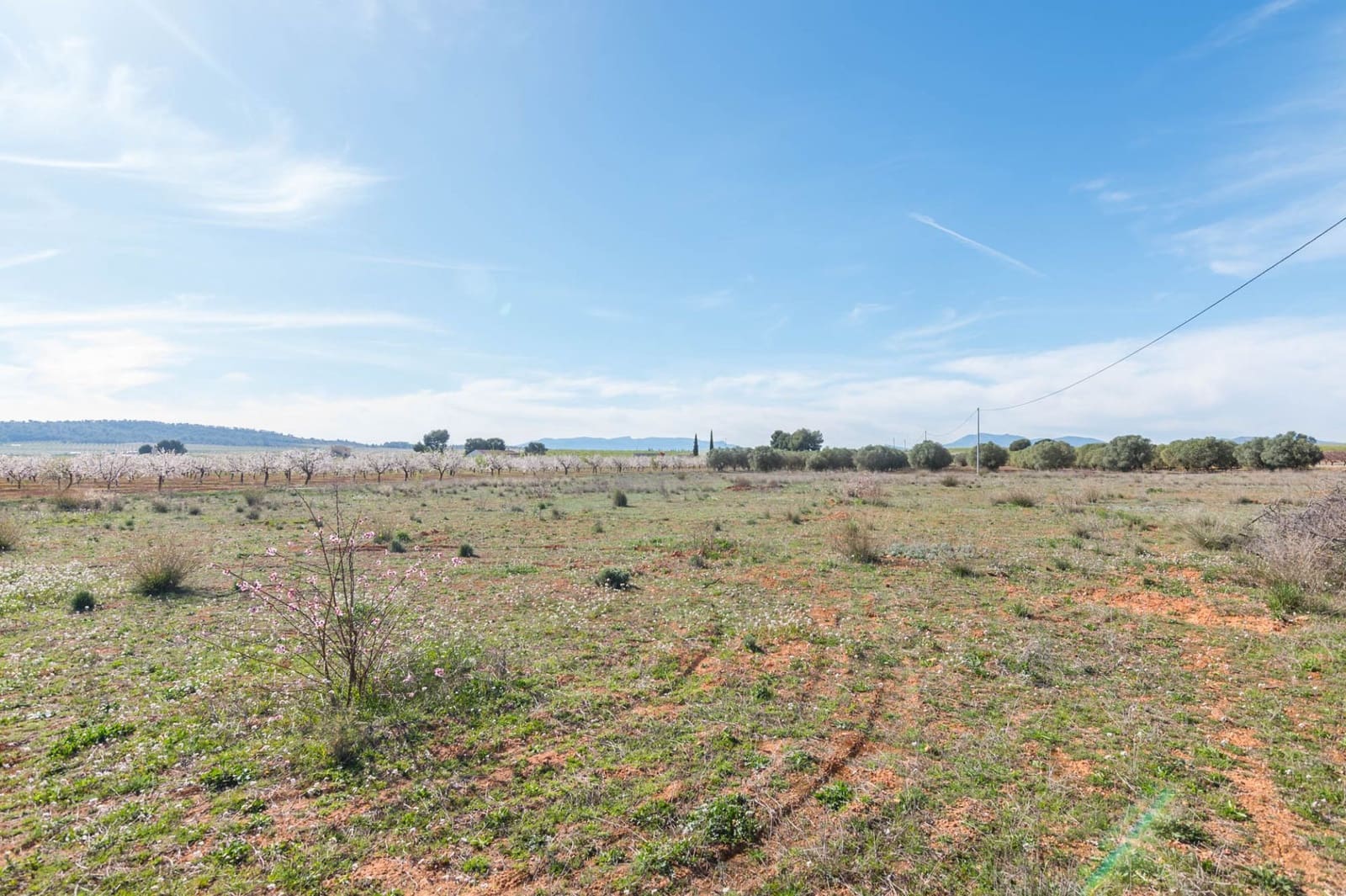 Chalet de 3 habitaciones en Pliego en venta - 315.000 € (Ref: 9501849)