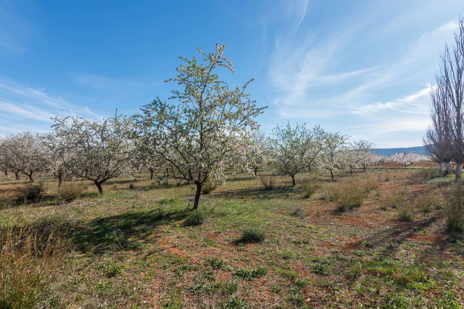 Chalet de 3 habitaciones en Pliego en venta - 315.000 € (Ref: 9501849)