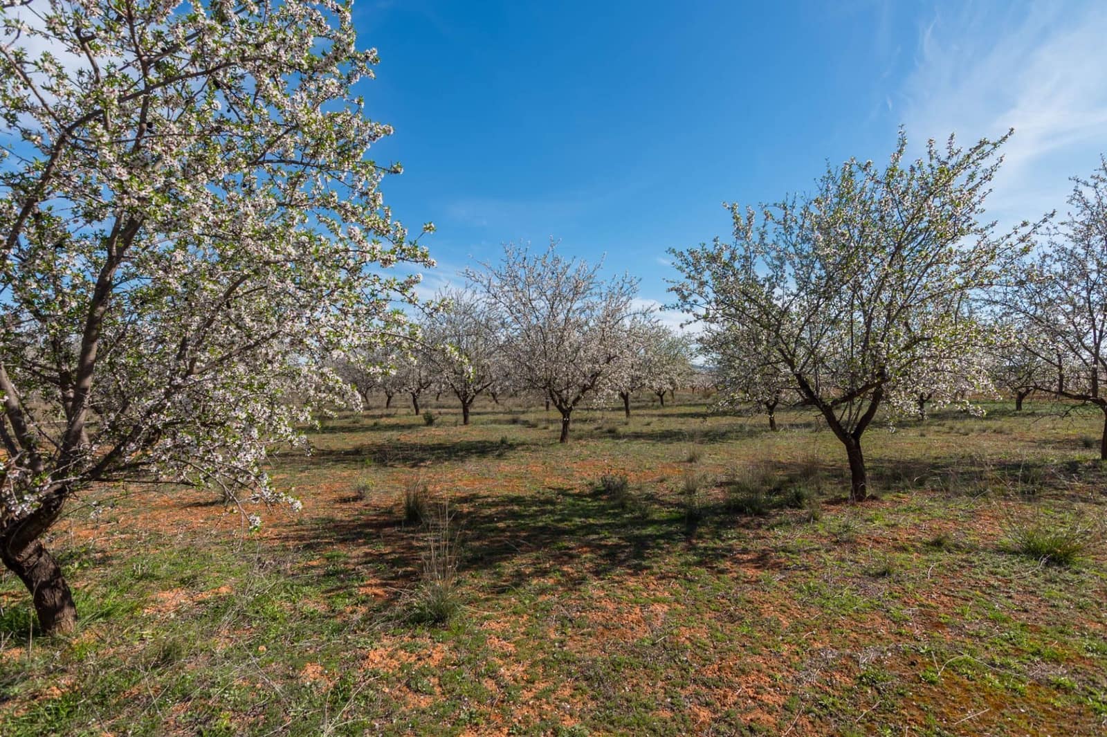 Chalet de 3 habitaciones en Pliego en venta - 315.000 € (Ref: 9501849)