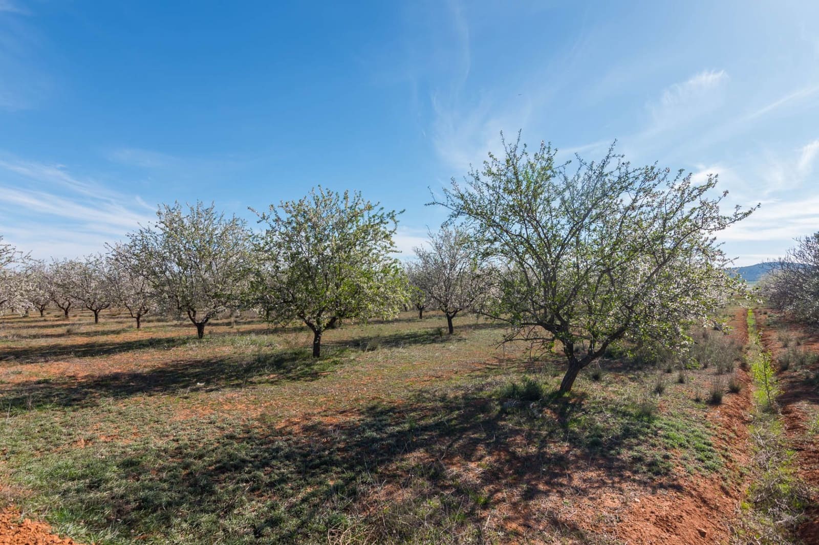 Chalet de 3 habitaciones en Pliego en venta - 315.000 € (Ref: 9501849)