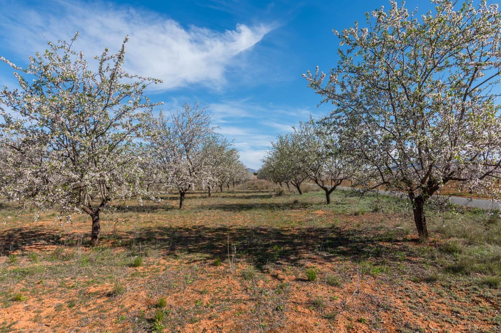 Chalet de 3 habitaciones en Pliego en venta - 315.000 € (Ref: 9501849)