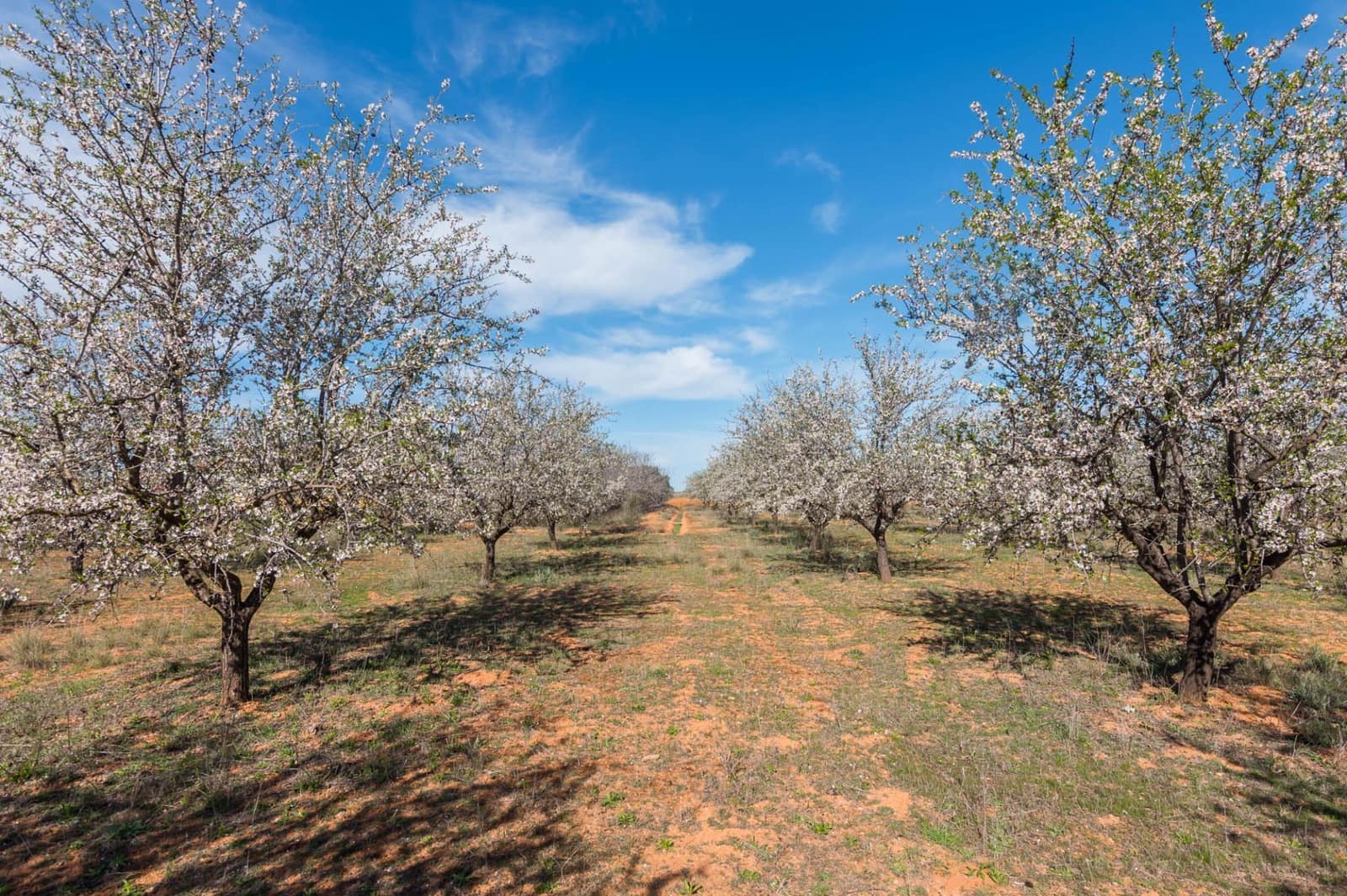 Chalet de 3 habitaciones en Pliego en venta - 315.000 € (Ref: 9501849)