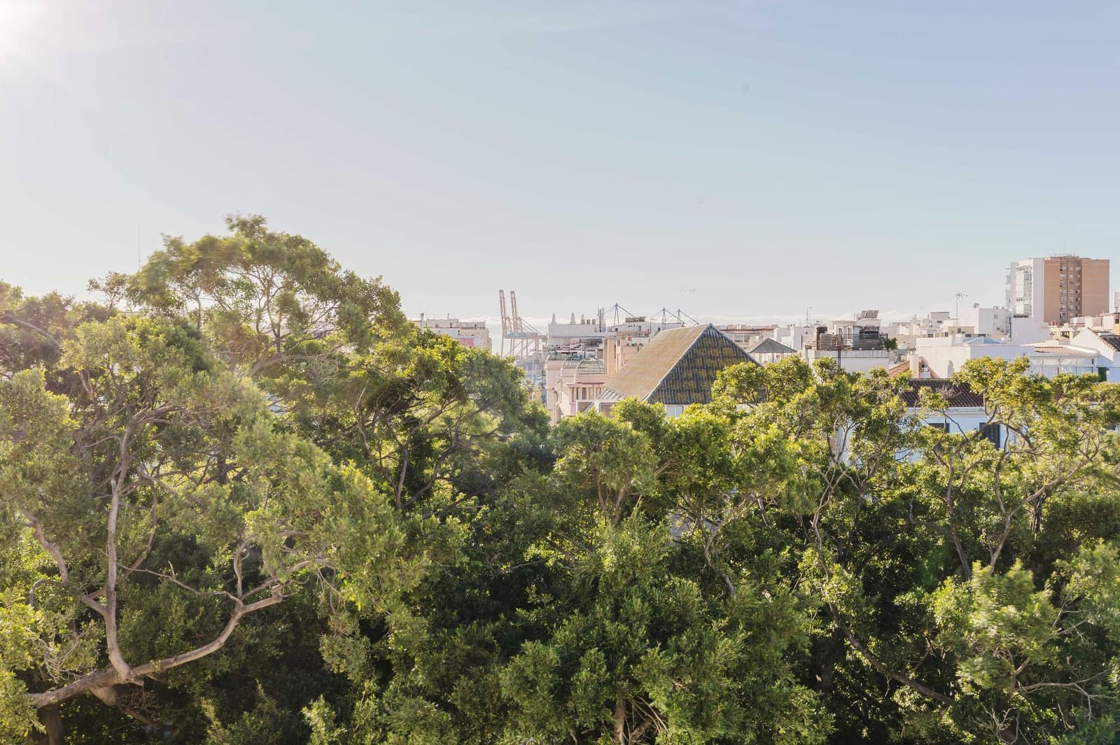 Ático de 2 habitaciones en Málaga ciudad en venta - 1.395.000 € (Ref: 9512051)