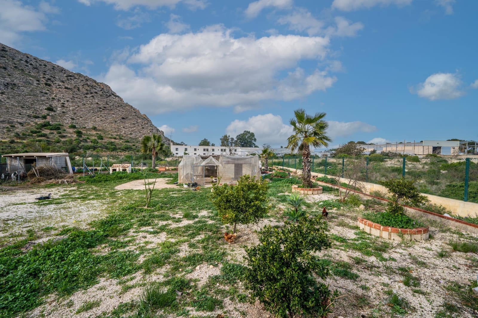 Finca/Casa Rural de 4 habitaciones en Cox en venta con piscina garaje - 357.000 € (Ref: 9523941)