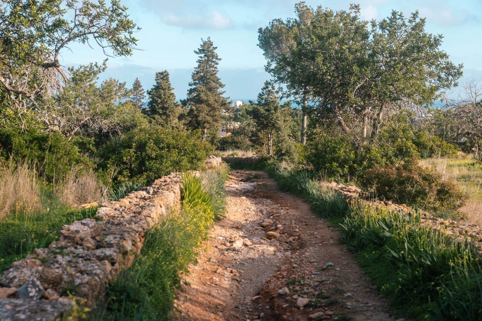 8 quarto Moradia para venda em San Jose / Sant Josep de Sa Talaia com garagem - 3 900 000 € (Ref: 9540777)