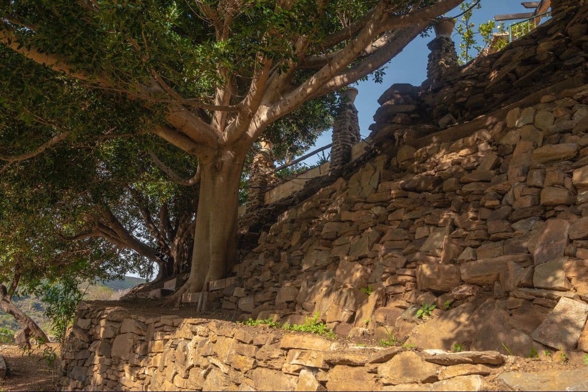 6 sypialnia Willa na sprzedaż w Sayalonga z basenem garażem - 690 000 € (Ref: 9594630)