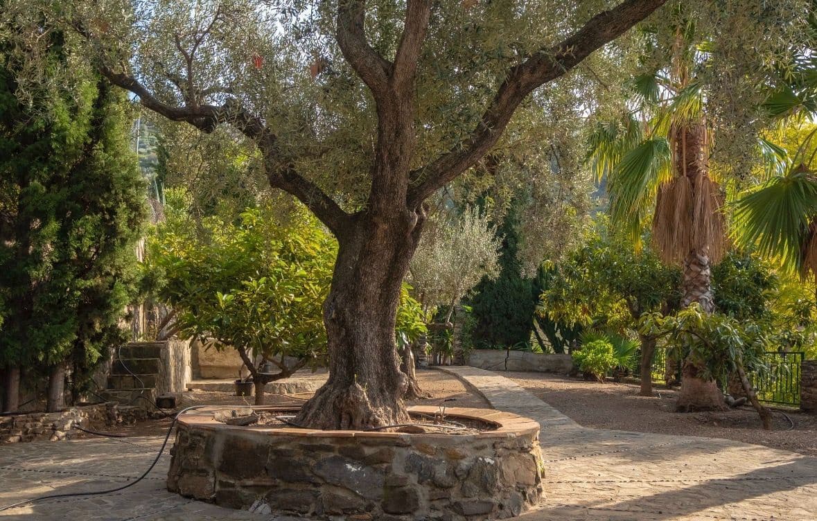 6 sypialnia Willa na sprzedaż w Sayalonga z basenem garażem - 690 000 € (Ref: 9594630)