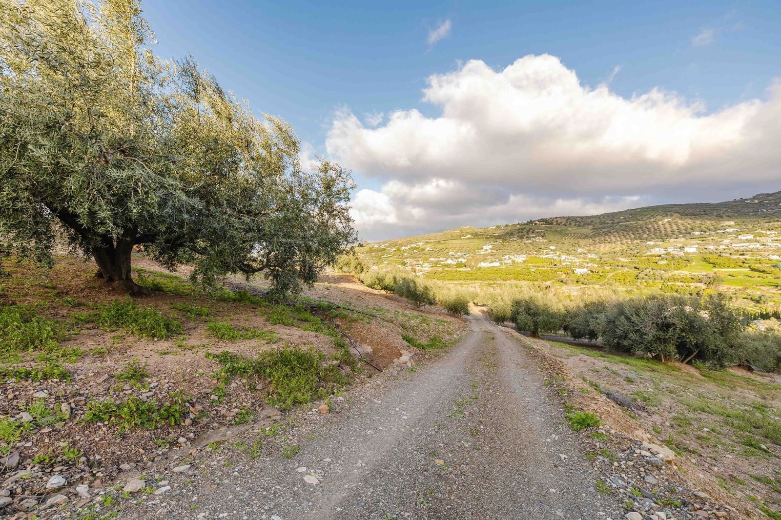 2 chambre Villa/Maison à vendre à Alcaucin - 589 000 € (Ref: 9625321)