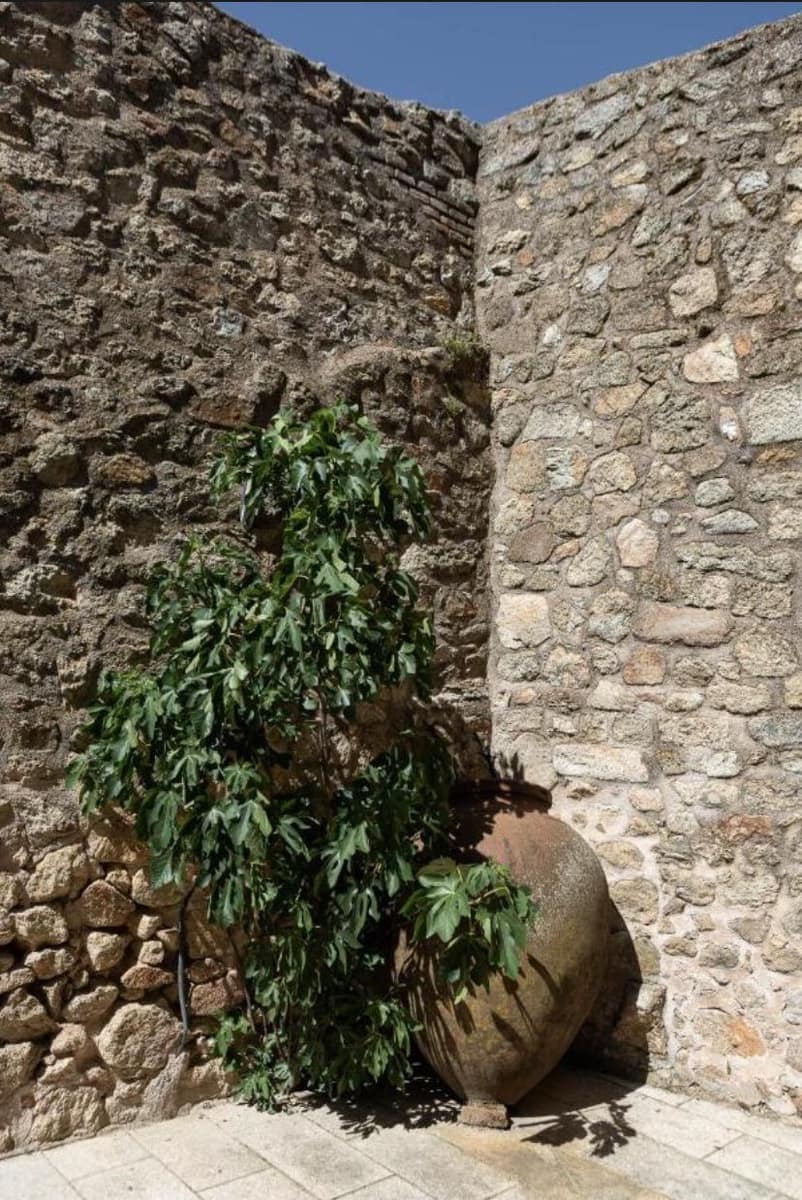 7 soverom Finca/Herregård til salgs i Montanchez - € 960 000 (Ref: 9633839)