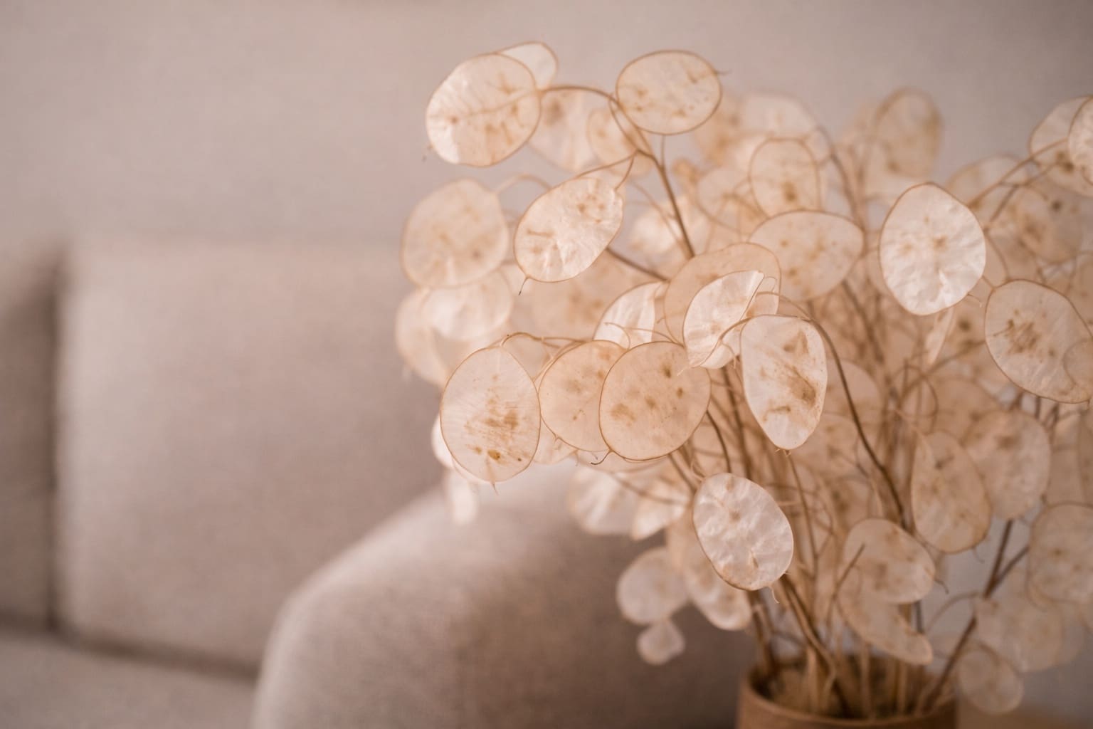 1 slaapkamer Flat te koop in Madrid stad - € 380.000 (Ref: 9665918)