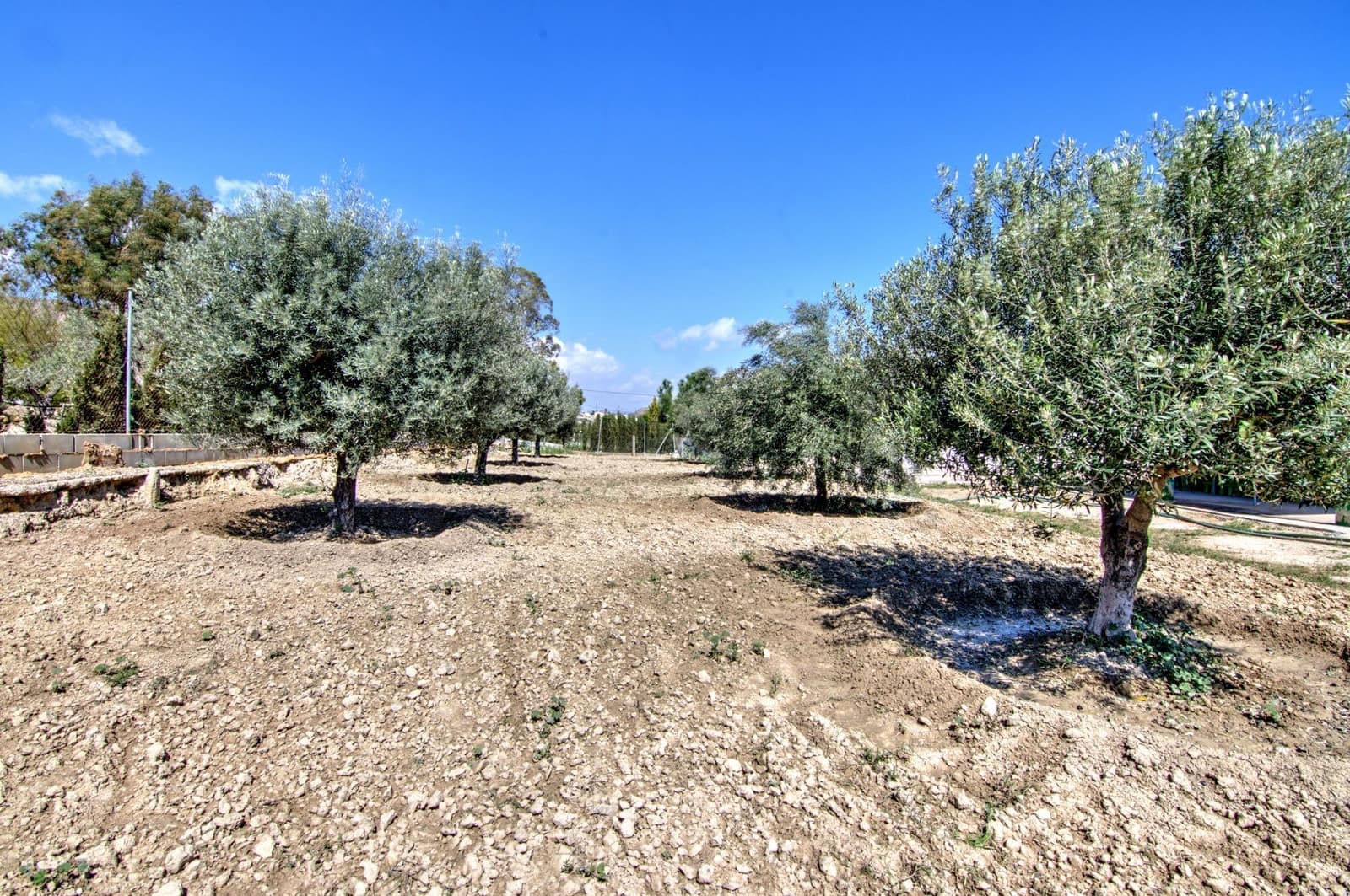 3 Zimmer Villa zu verkaufen in Alicante / Alacant Stadt mit Pool Garage - 280.000 € (Ref: 9694709)