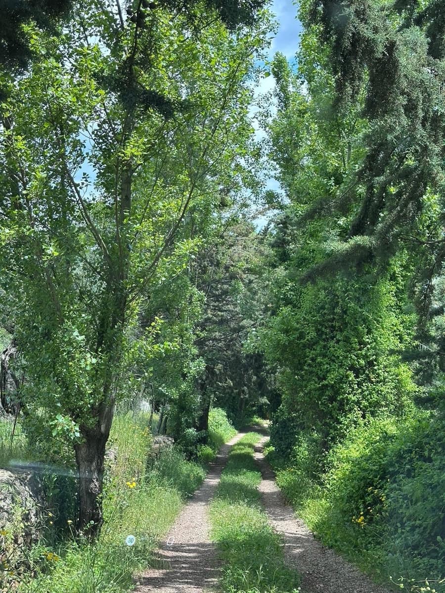 6 bedroom Villa for sale in Aracena with pool garage - € 875,000 (Ref: 9755324)